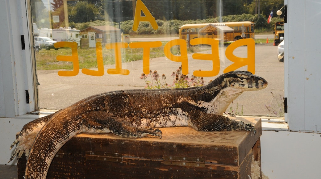 Monroe which includes animals