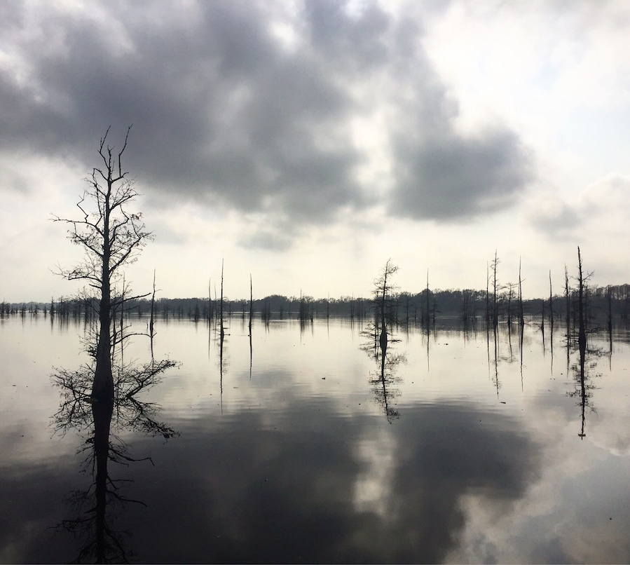 No point dreaming of a white Christmas this year 🐊 
#christmasonthebayou #louisianachristmas