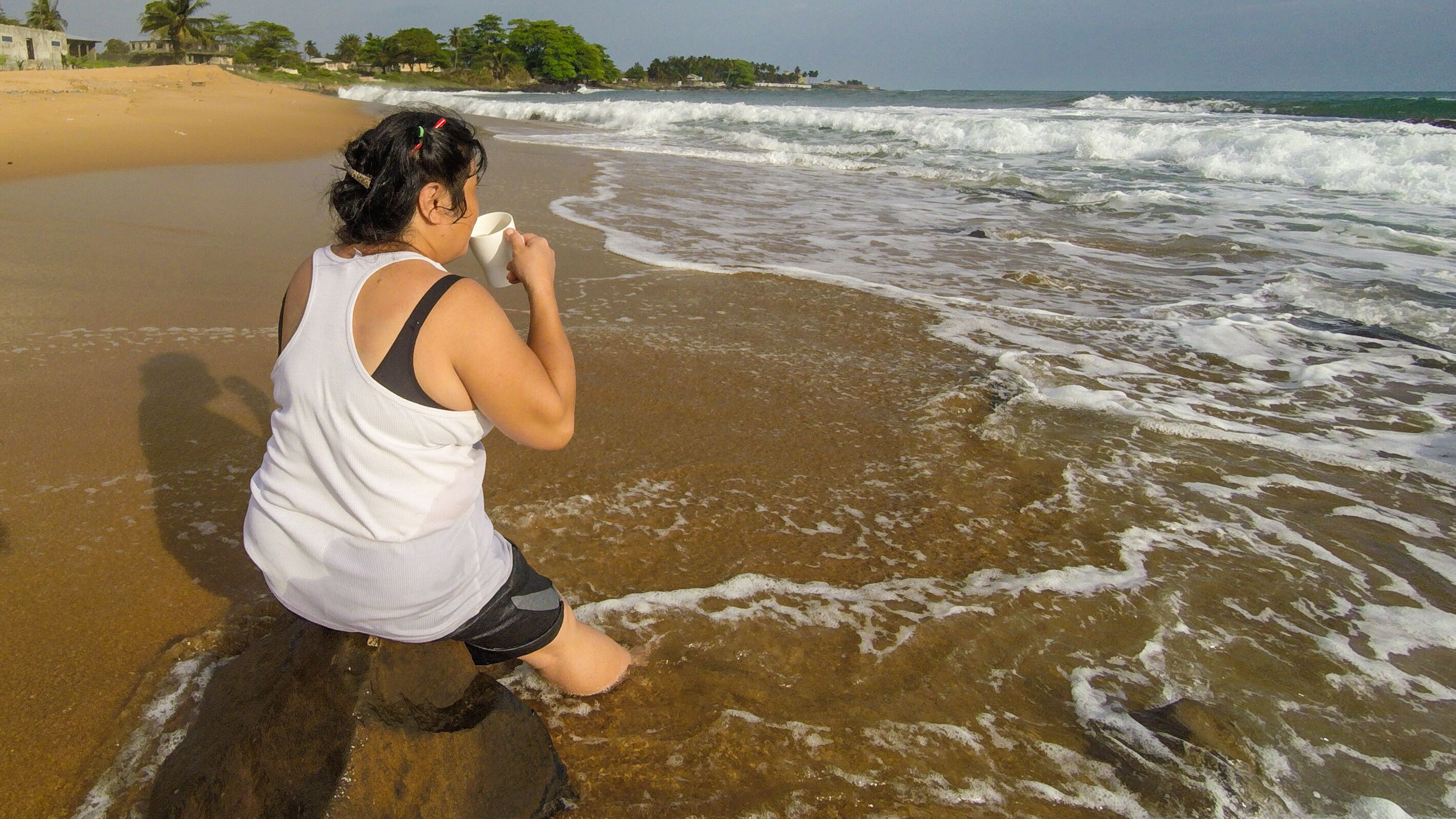 A beach with waves, a person sitting on a rock, and palm trees in the background.