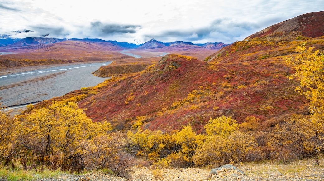 Polychrome Pass Denali National Park, Alaska