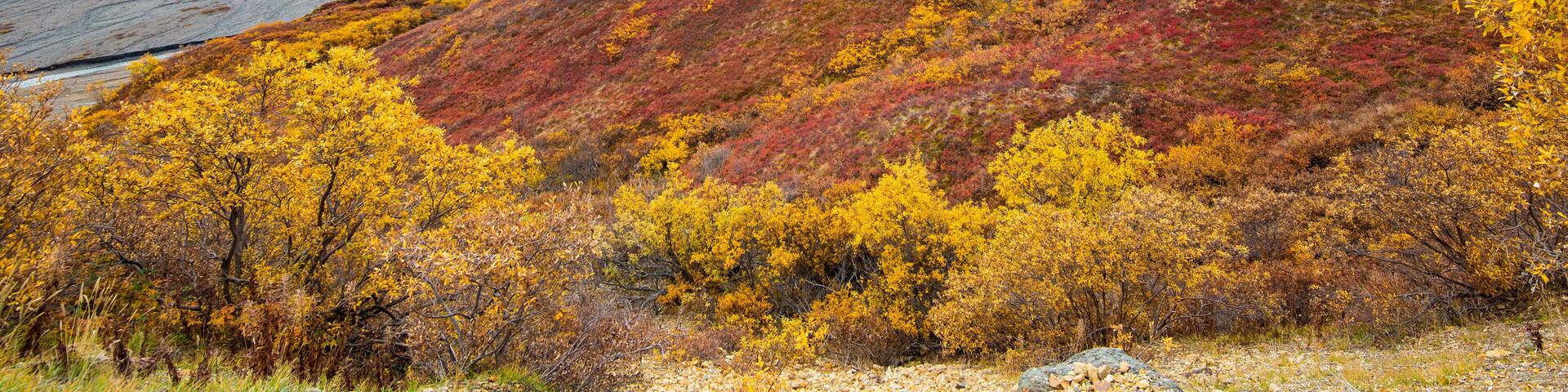 Polychrome Pass Denali National Park, Alaska