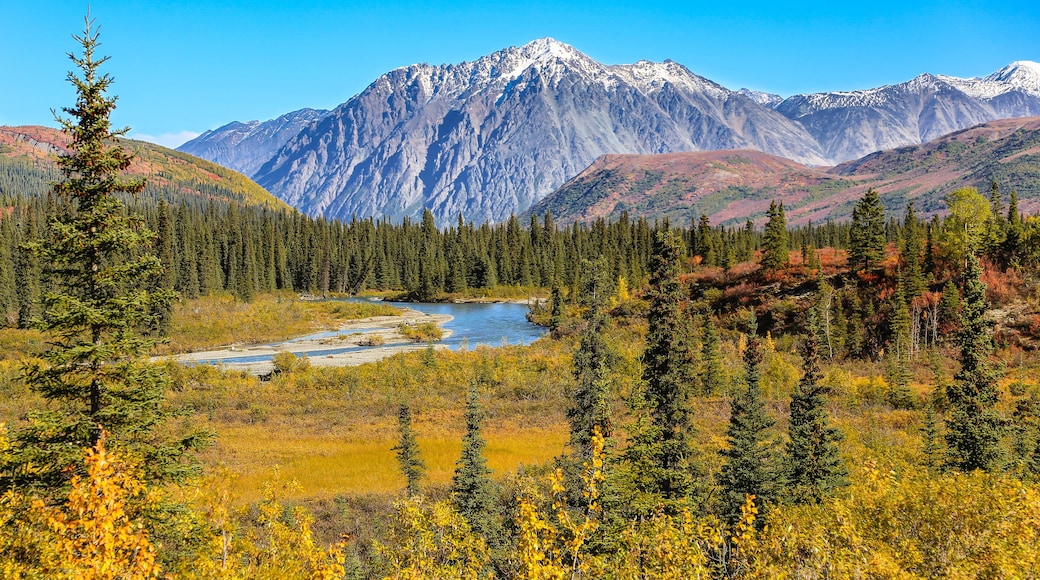 Scenic fall landscape with river and snow-capped mountains in Denali National Park, Alaska