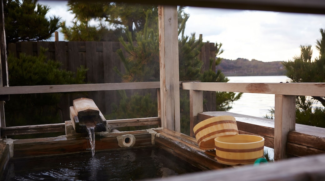 Japanese open air hot spring
