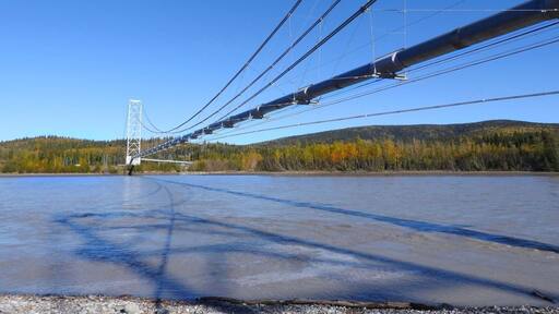 This is a small section of the Trans Alaska Pipeline, which is one of the world's largest pipeline systems, over the Tanana River. Built between 1975 and 1977, the construction of the pipeline was one of the first large-scale projects to deal with problems caused by permafrost. The project attracted tens of thousands of workers to Alaska. (September 2016)
#Trovember