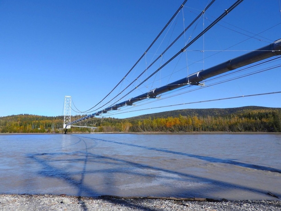 This is a small section of the Trans Alaska Pipeline, which is one of the world's largest pipeline systems, over the Tanana River. Built between 1975 and 1977, the construction of the pipeline was one of the first large-scale projects to deal with problems caused by permafrost. The project attracted tens of thousands of workers to Alaska. (September 2016)
#Trovember