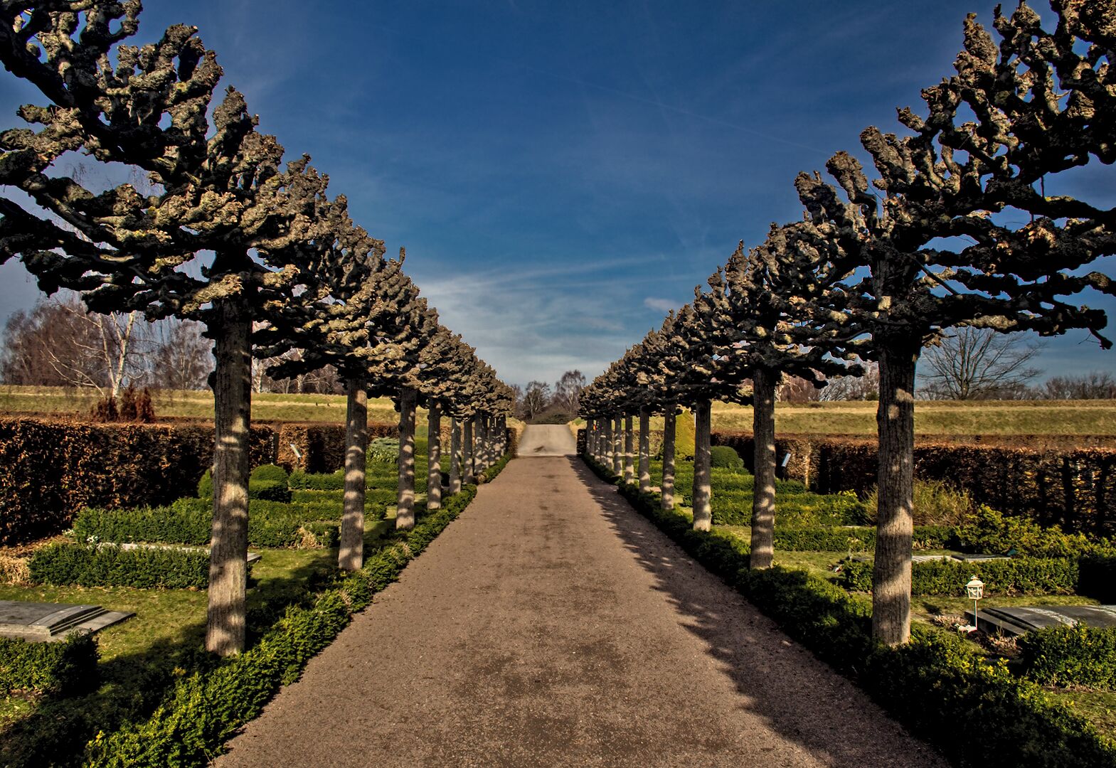 The spring has come to Malmö