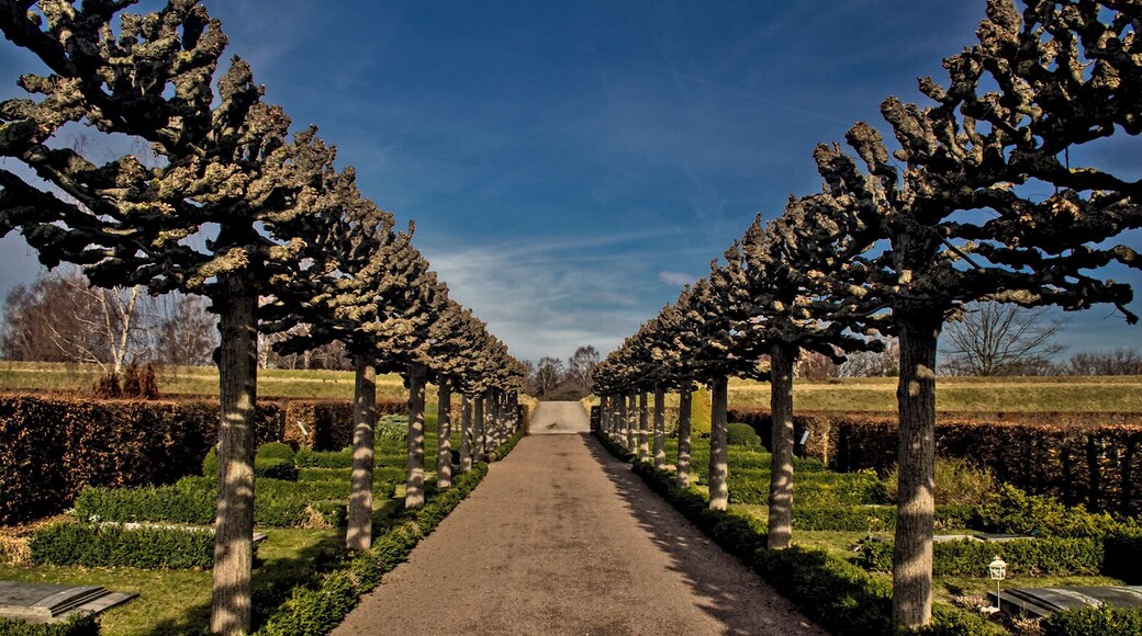 The spring has come to Malmö