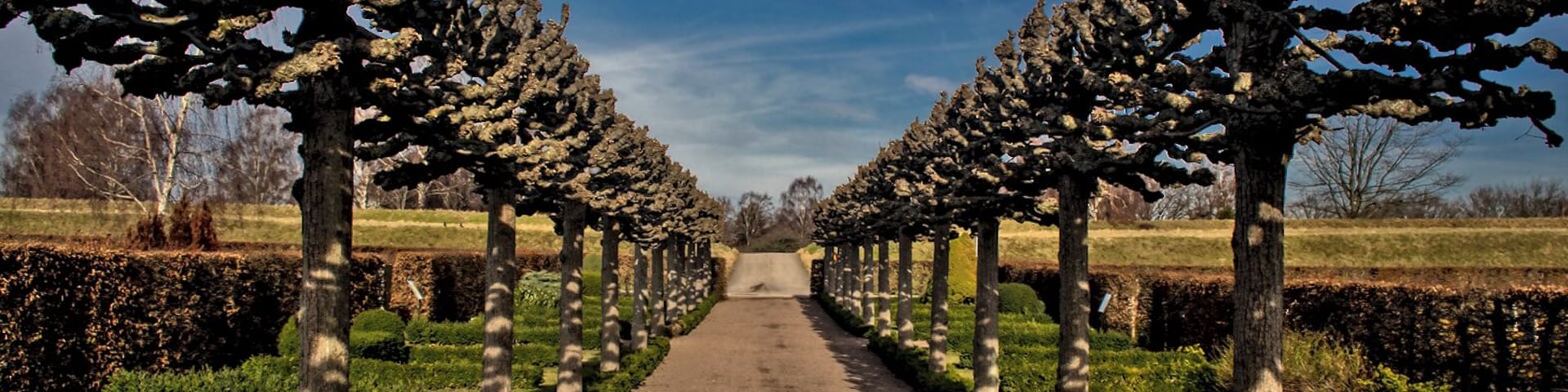 The spring has come to Malmö