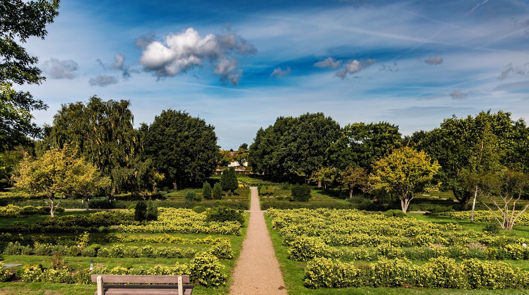 Single bench among green and grass bushes