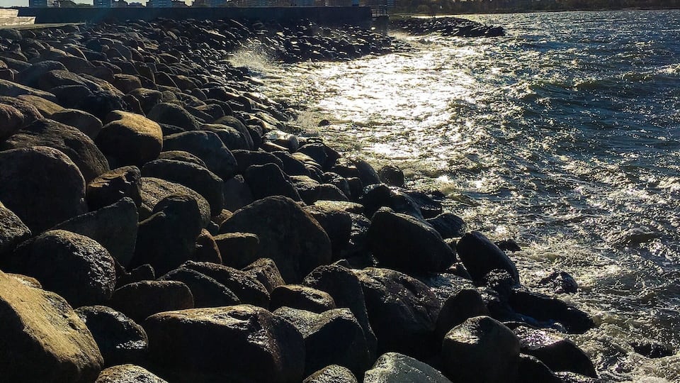 Rocky beaches, clear blue sky, yet ice cold and stormy #malmö #coast #beach