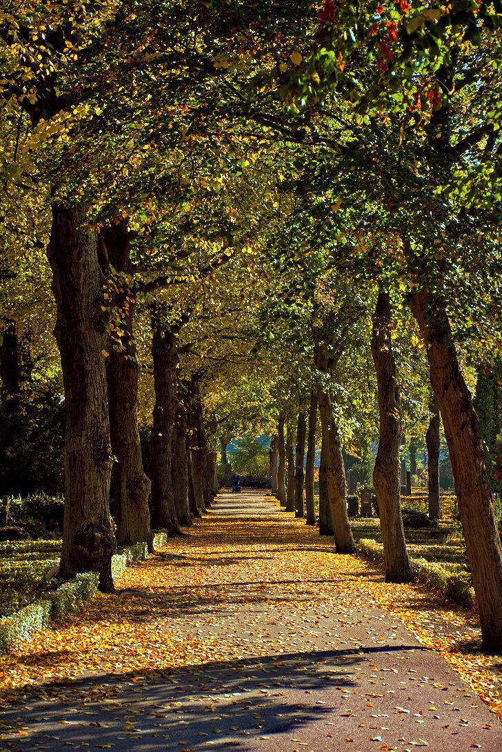 Autumn feels in downtown Malmö