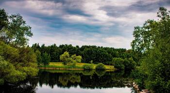 Same pond as the earlier post.