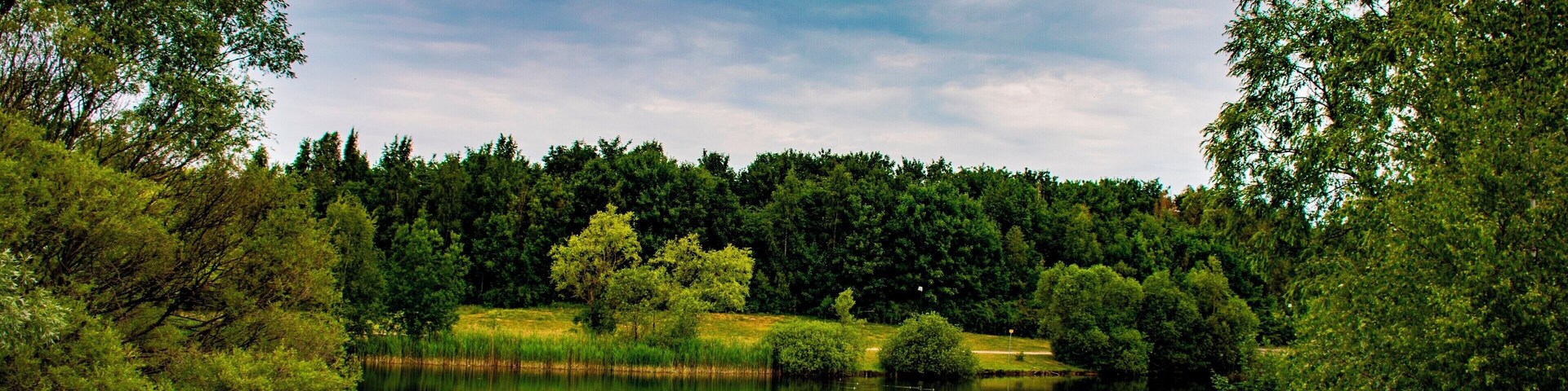 Same pond as the earlier post.
