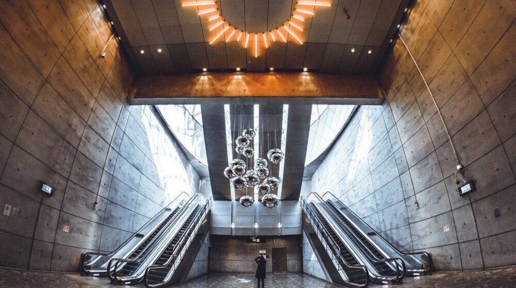 Warm tones contract the blue hues from the daylight, at the descent into Triangeln station in Malmö, Sweden.
#golden
