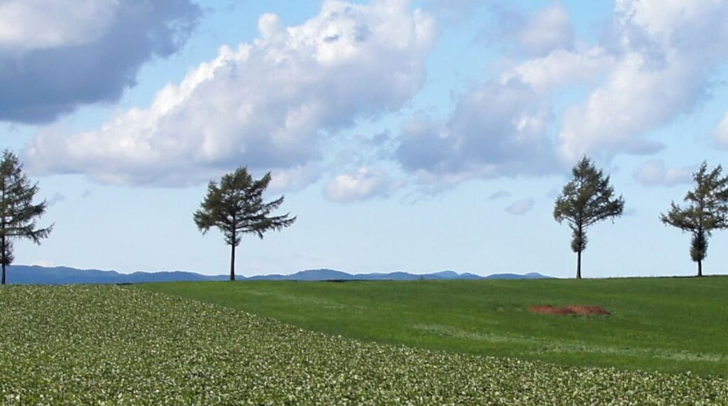 Märchen-no-oka in Ozora Town, Hokkaido, Japan