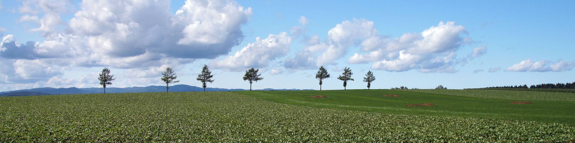 Märchen-no-oka ("Marchen Hill") in Ozora Town, Hokkaido, Japan