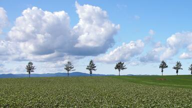 Märchen-no-oka ("Marchen Hill") in Ozora Town, Hokkaido, Japan