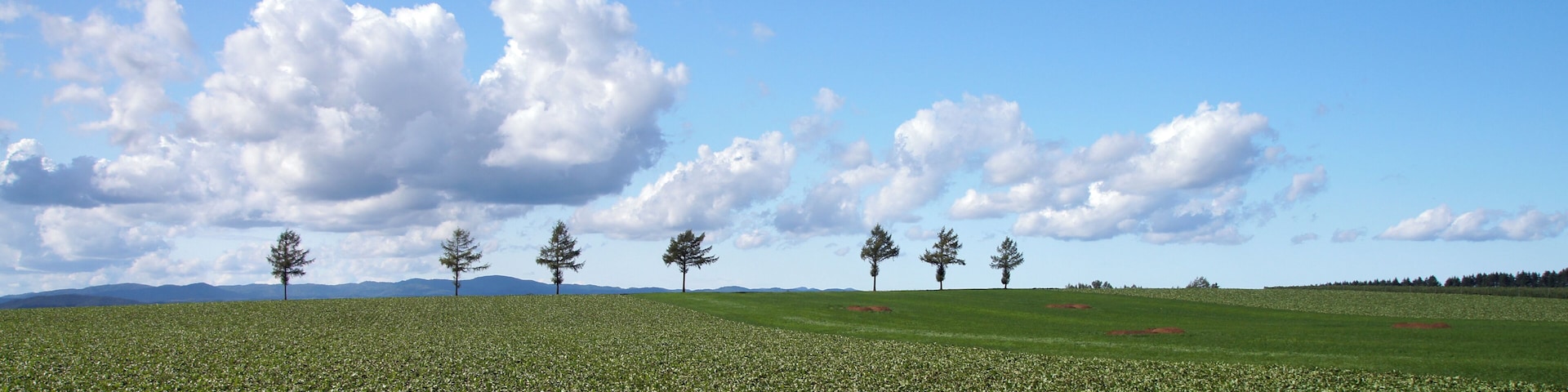 Mรคrchen-no-oka ("Marchen Hill") in Ozora Town, Hokkaido, Japan