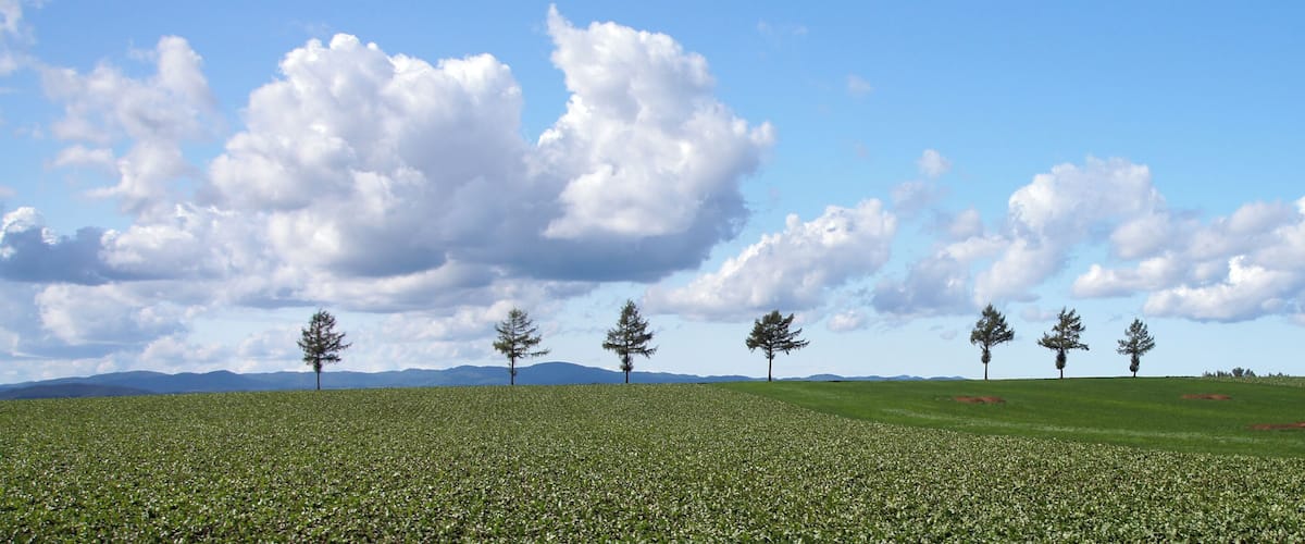 A green field with trees and mountains in the background.