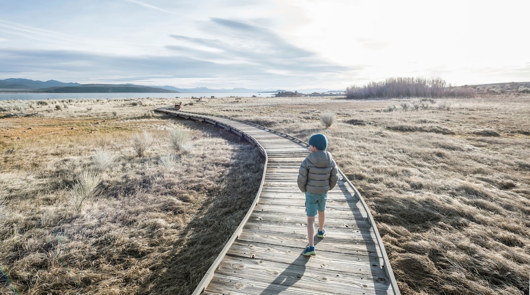 A child walking on a wooden boardwalk through a grassy field with mountains in the distance.