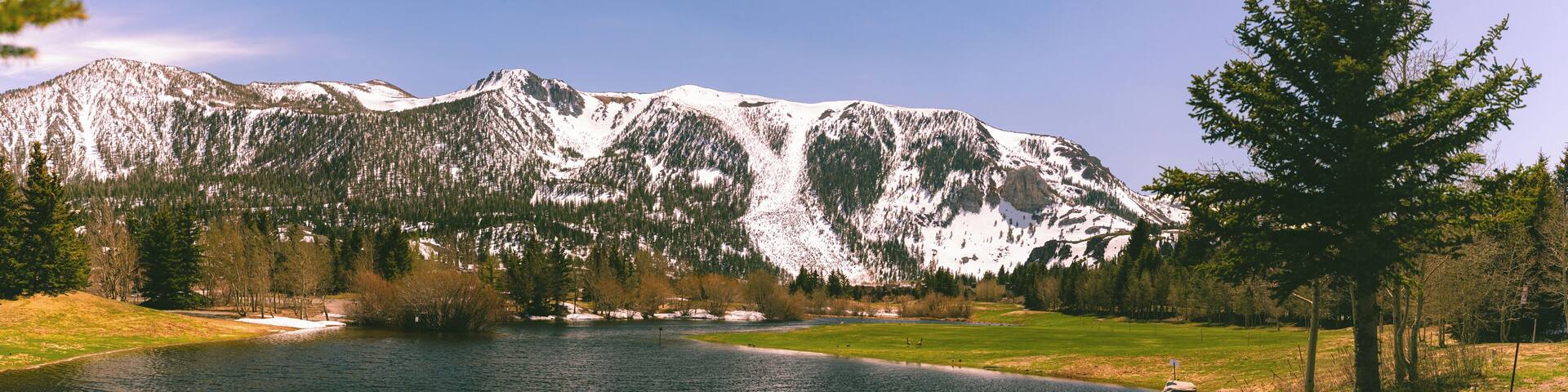 A lake surrounded by snow-capped mountains and a grassy area with a single tree.