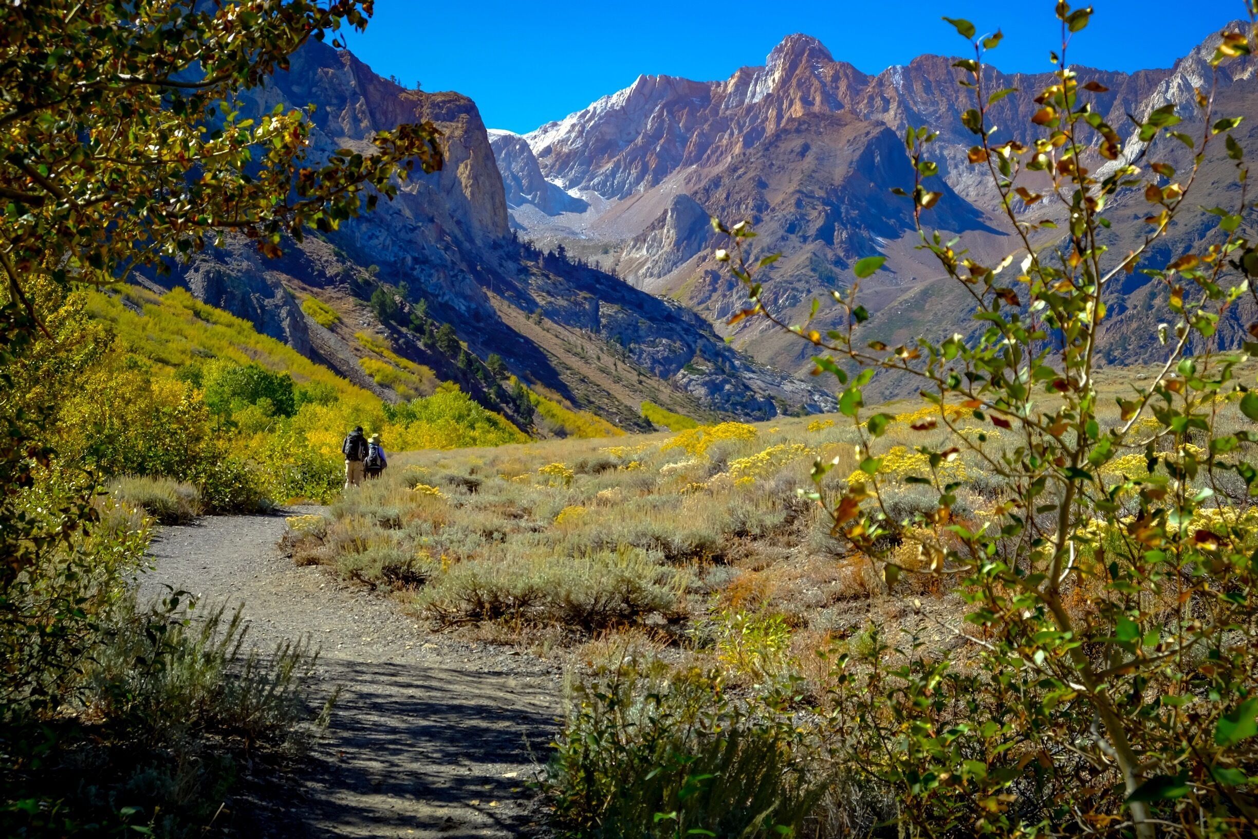 McGee Creek , eastern sierras, Mammoth lakes California
