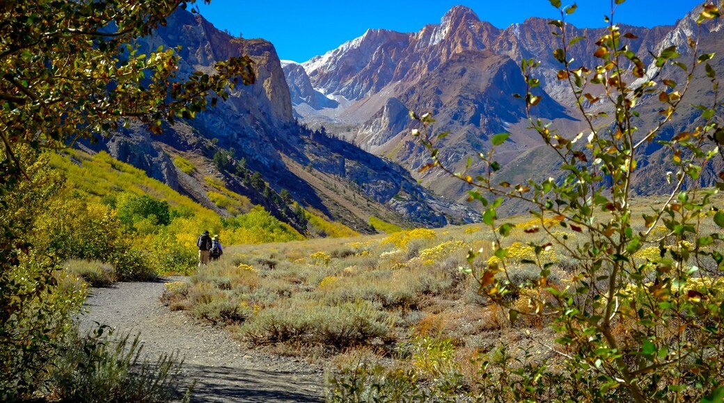 McGee Creek , eastern sierras, Mammoth lakes California
