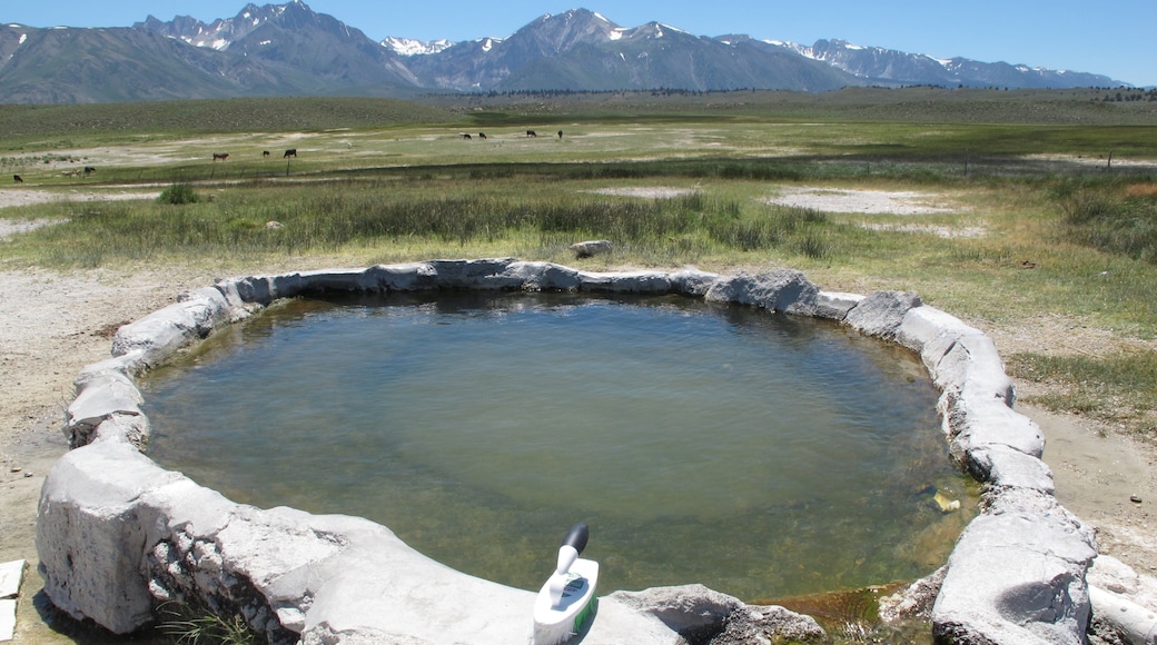 California Central Interior que incluye un estanque y vistas de paisajes