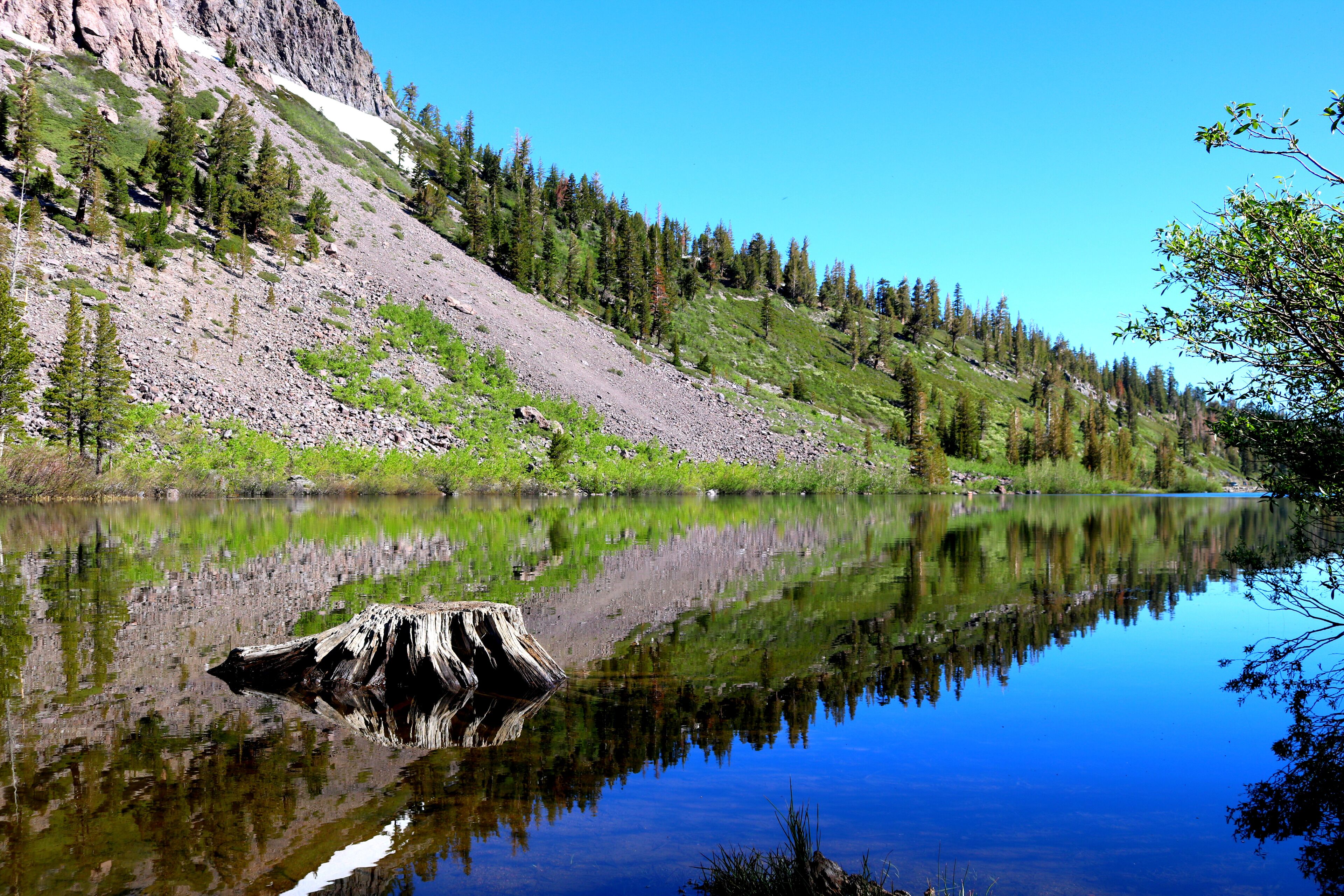 Beautiful   Reflection in the Lake <3