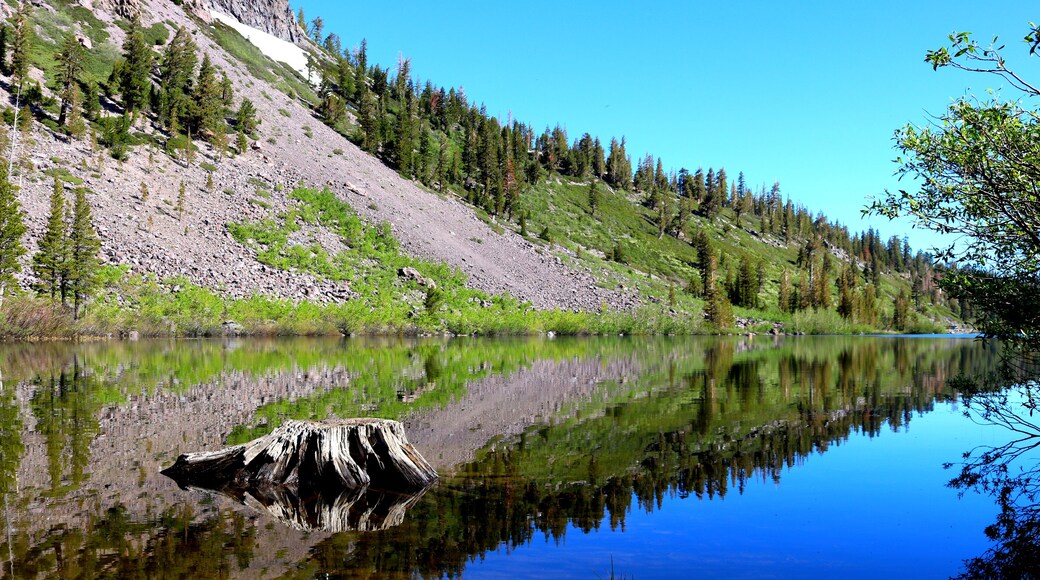 Beautiful Reflection in the Lake <3