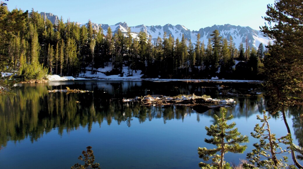 Nestled in the Eastern Sierras, this small lake is off the beaten path and a great place to explore!