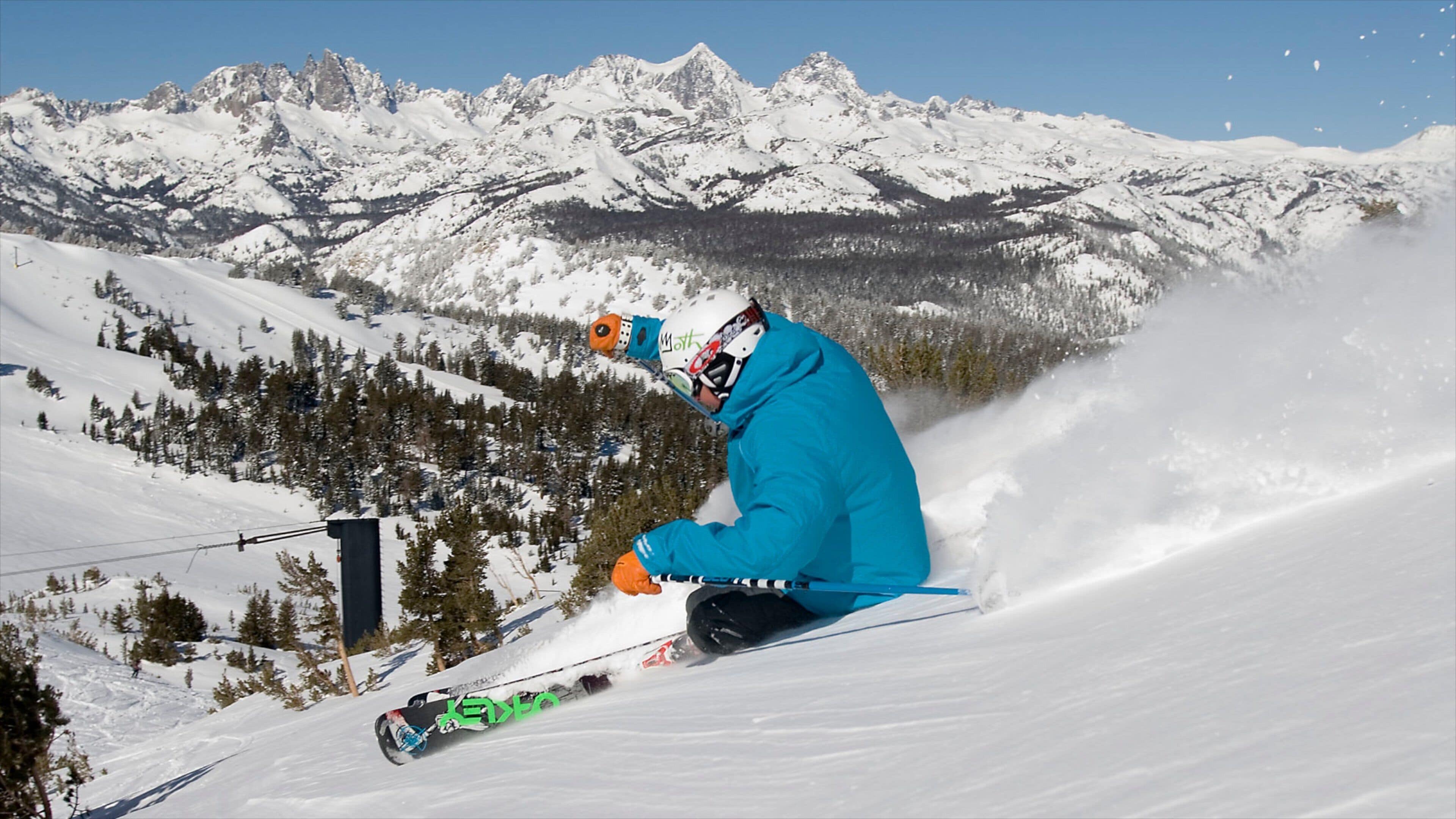 Central Interior California featuring snow, forests and snow boarding
