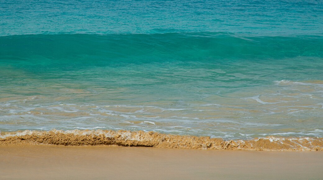 Beautiful beach in Maio Island in Cape Verde. With their soft sands, azure waters, and tranquil ambiance, they offer a serene tropical paradise.