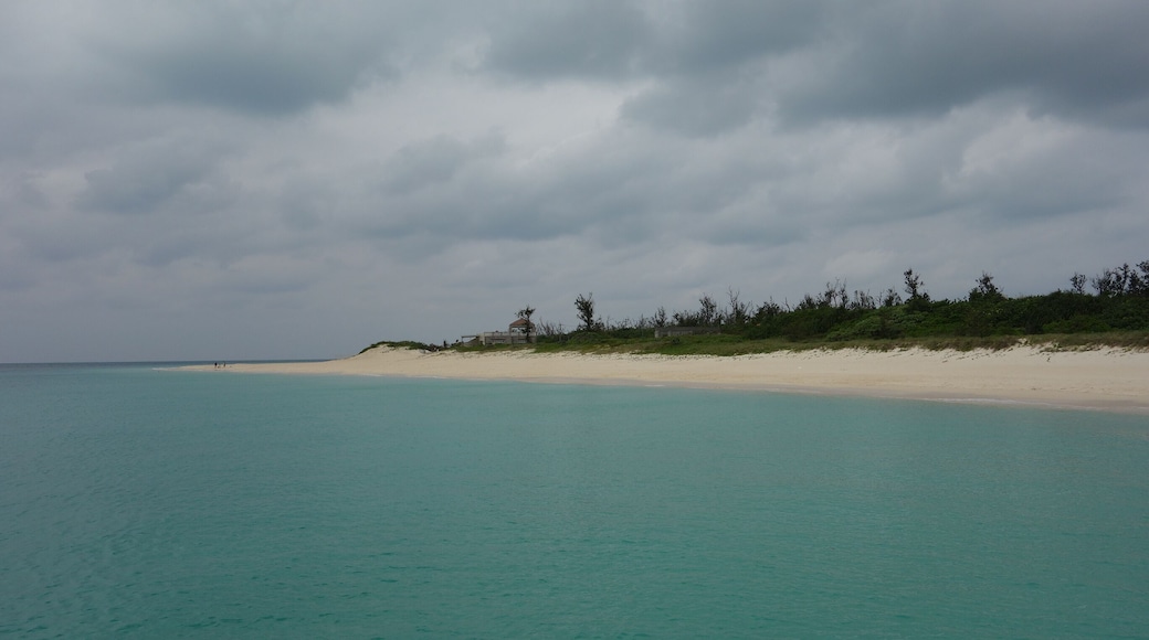 前浜ビーチ 20130206