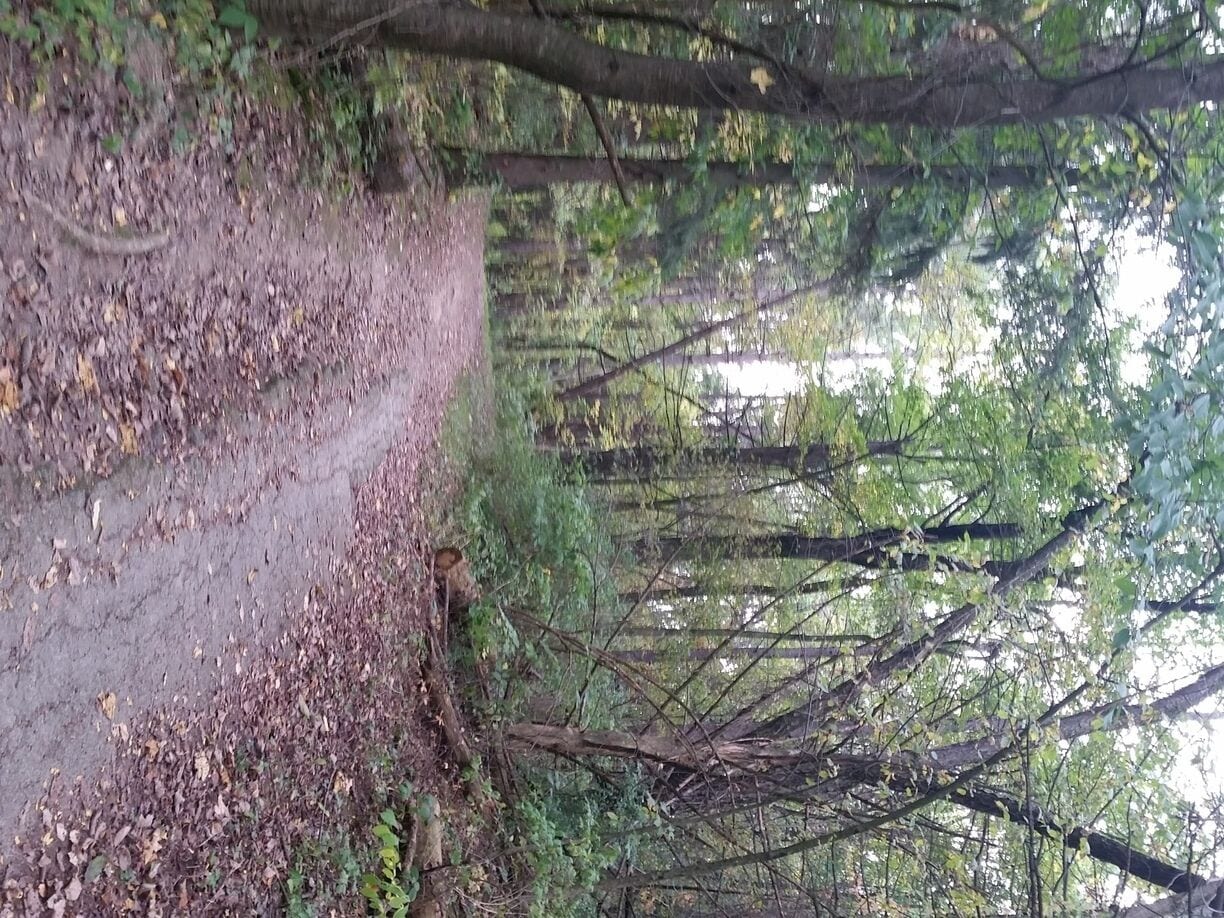 We love mountain biking and hiking the many trails this park has to offer. Plus it's very close to where we live.