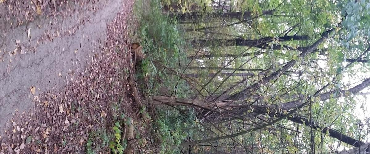 We love mountain biking and hiking the many trails this park has to offer. Plus it's very close to where we live.