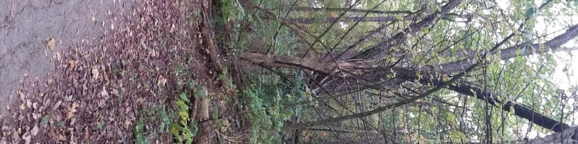 We love mountain biking and hiking the many trails this park has to offer. Plus it's very close to where we live.