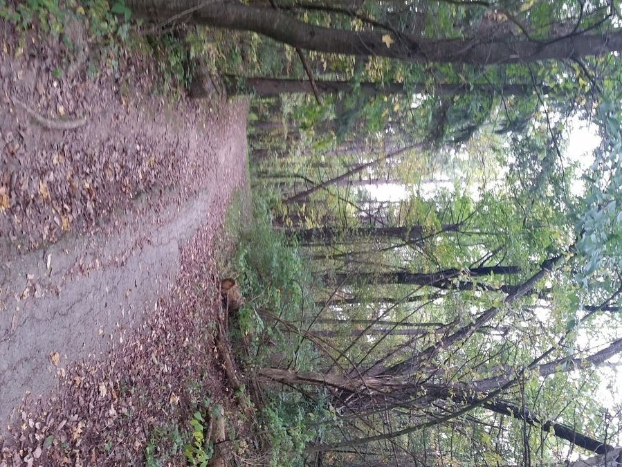 We love mountain biking and hiking the many trails this park has to offer. Plus it's very close to where we live.