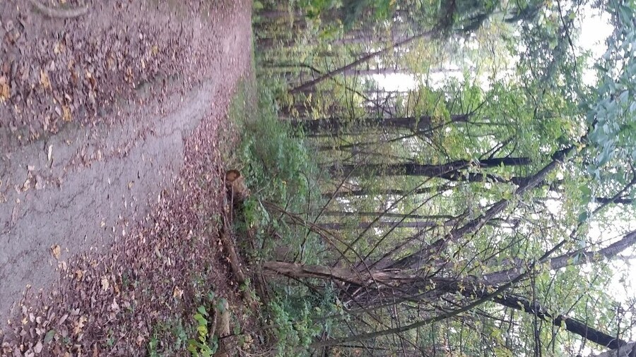 We love mountain biking and hiking the many trails this park has to offer. Plus it's very close to where we live.