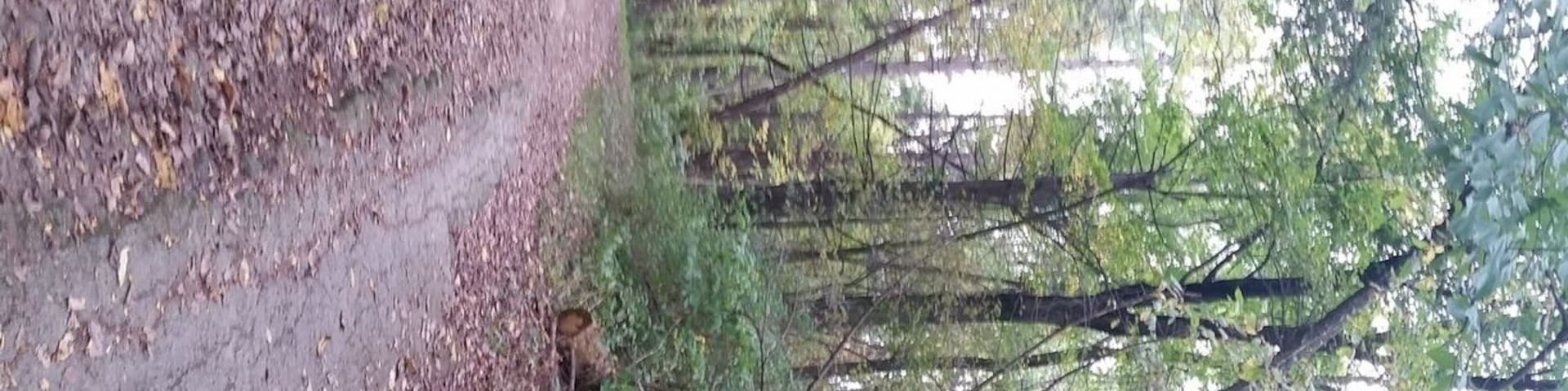 We love mountain biking and hiking the many trails this park has to offer. Plus it's very close to where we live.