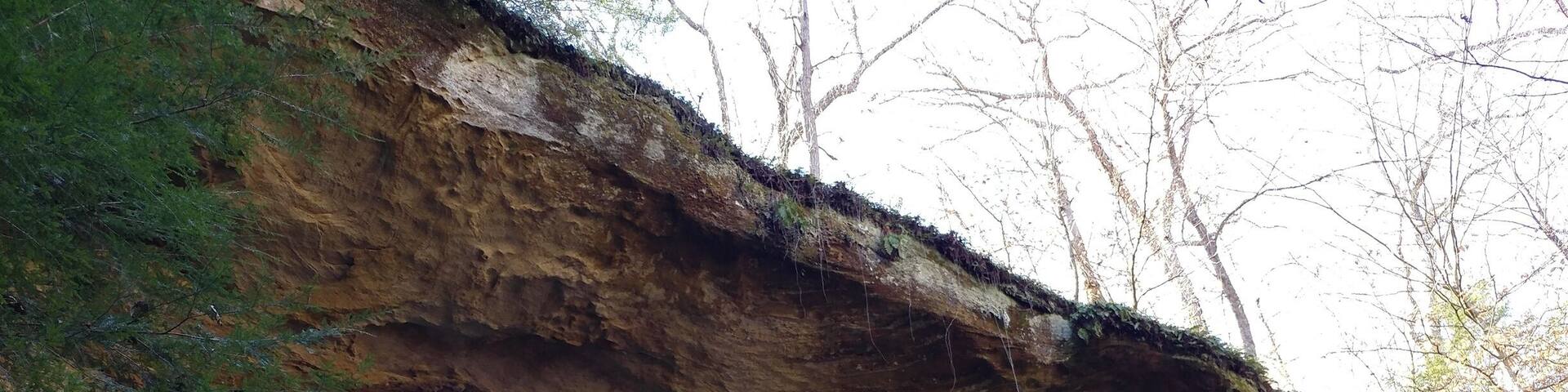 Ladd Natural Bridge is one of the most impressive natural arches in Ohio. The bridgespan is 40 feet long, 12 feet wide and 5 feet thick--strong enough to hold a vehicle.
In fact, it was once promoted as a tourist attraction that some visitors actually drove their cars over.
The arch is located in Cutler, OH inside a state nature preserve, however the preserve is surrounded by private property. So, in order to visit, the Ohio Department of Natural Resources must be contacted to obtain an access permit. (It's free!)
#FindingtheUniverse