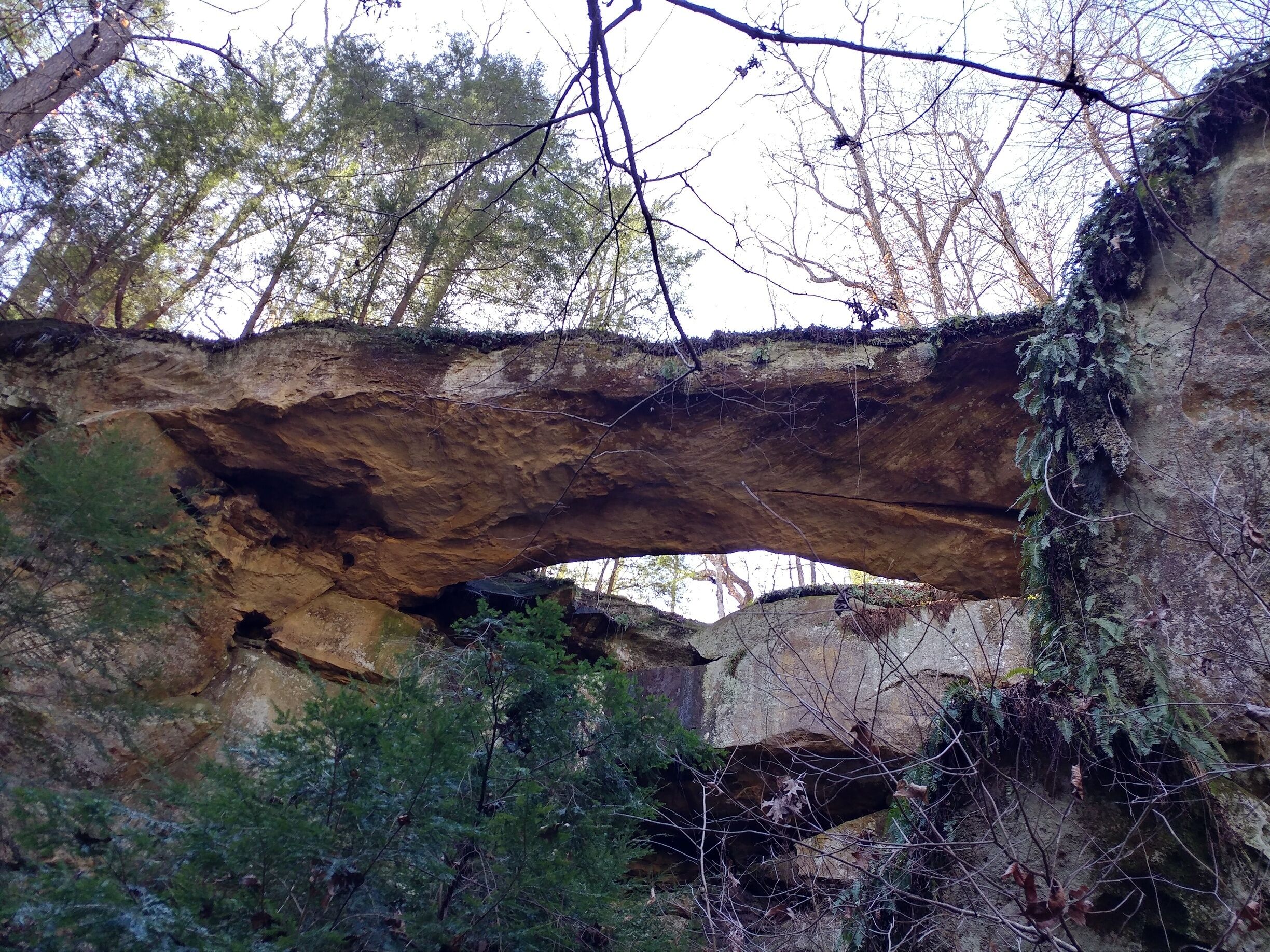 Ladd Natural Bridge is one of the most impressive natural arches in Ohio. The bridgespan is 40 feet long, 12 feet wide and 5 feet thick--strong enough to hold a vehicle. 

In fact, it was once promoted as a tourist attraction that some visitors actually drove their cars over.

The arch is located in Cutler, OH inside a state nature preserve, however the preserve is surrounded by private property. So, in order to visit, the Ohio Department of Natural Resources must be contacted to obtain an access permit. (It's free!)

#FindingtheUniverse