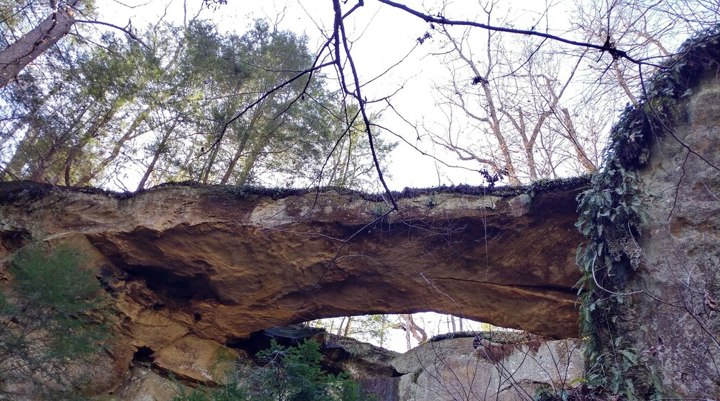 Ladd Natural Bridge is one of the most impressive natural arches in Ohio. The bridgespan is 40 feet long, 12 feet wide and 5 feet thick--strong enough to hold a vehicle.
In fact, it was once promoted as a tourist attraction that some visitors actually drove their cars over.
The arch is located in Cutler, OH inside a state nature preserve, however the preserve is surrounded by private property. So, in order to visit, the Ohio Department of Natural Resources must be contacted to obtain an access permit. (It's free!)
#FindingtheUniverse