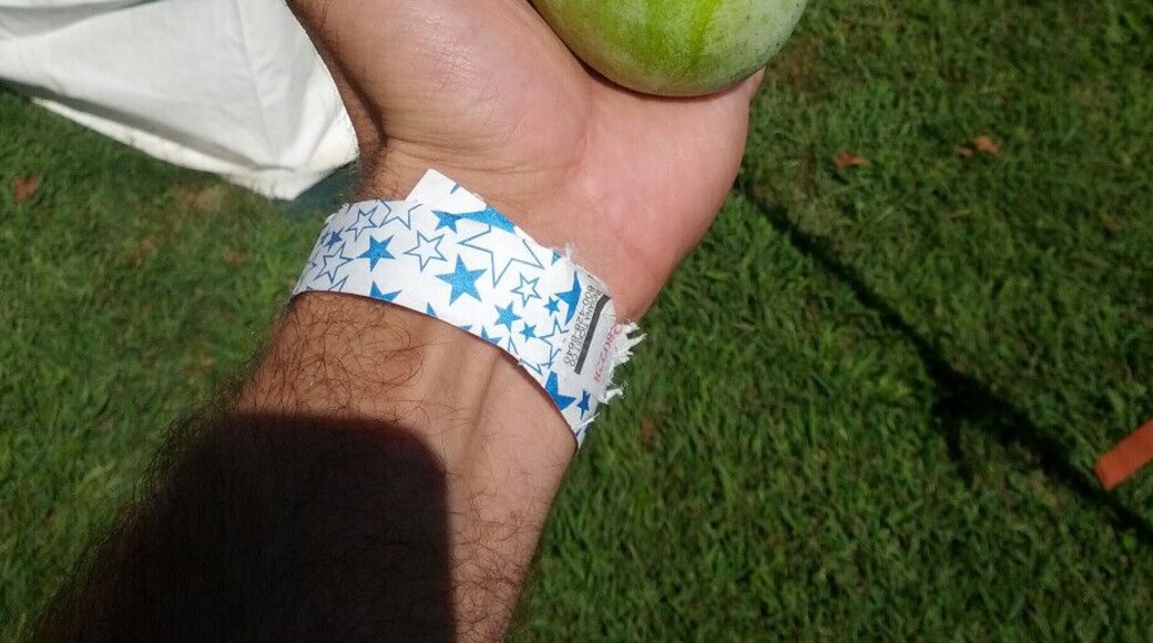 The largest edible native fruit in North America, the Pawpaw (Asimina triloba). A common find in the woods but a rarity in the produce department, this fruit has enough of a cult following to spawn an annual festival dedicated to all things Pawpaw. The flesh is a spoon-able custard like consistency with a profound tropical flavor profile with hints of banana and mango.