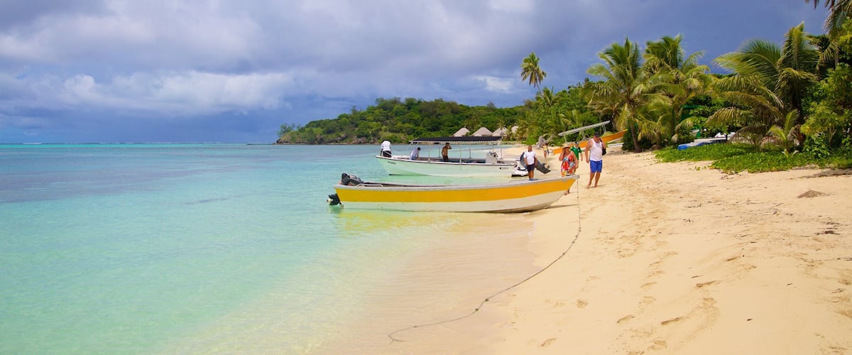 A tropical beach with clear turquoise waters, a sandy shore, and palm trees.