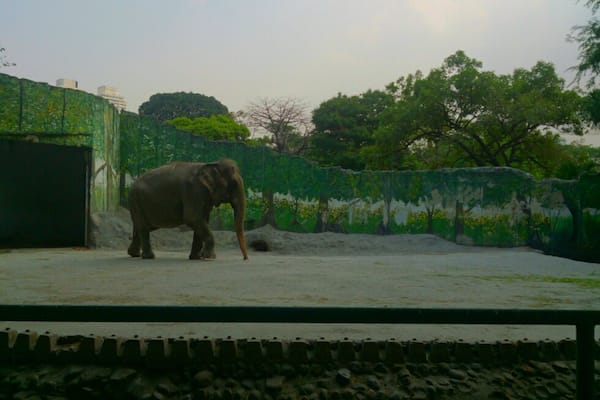 No life is a waste. The only time we waste is the time we spend thinking we are alone. -The Blue Man, The Five People You Meet in Heaven