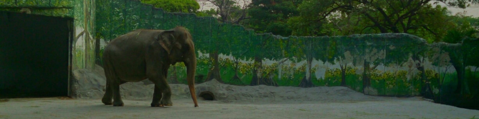 No life is a waste. The only time we waste is the time we spend thinking we are alone. -The Blue Man, The Five People You Meet in Heaven