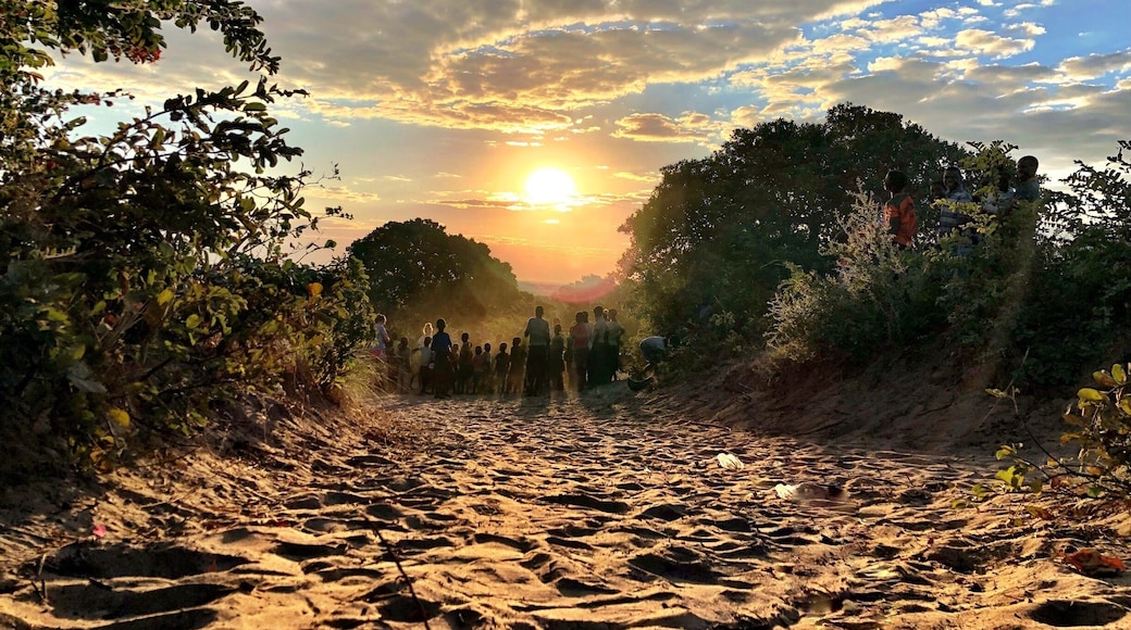 Children playing on the Barotse Flood Plain at sunset #greatoutdoors