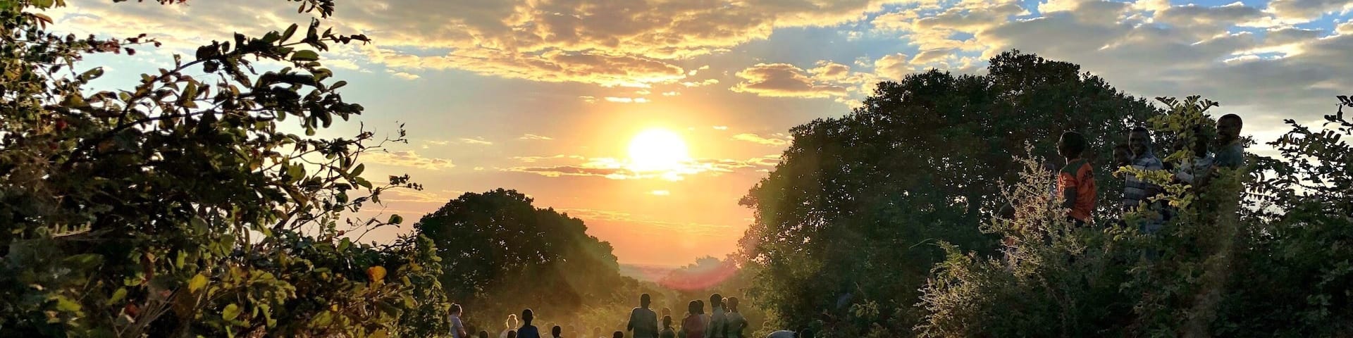 A sandy beach with people walking, surrounded by trees and a sunset in the background.