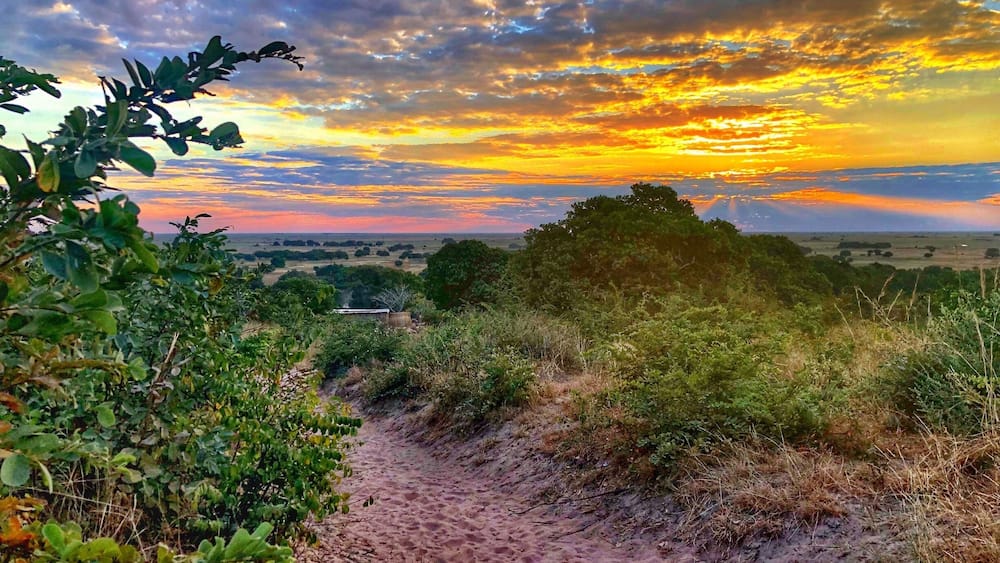 Sunset over the Barotse Flood Plain.